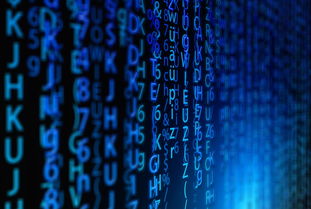 华为鸿蒙系统，支持机型全解析及未来展望